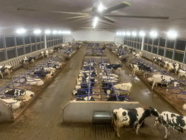 Dairy Farm Worker / Farm Equipment Operator / Field Technician - Photo 2