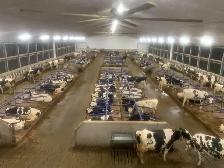 Dairy Farm Worker / Farm Equipment Operator / Field Technician - Photo 2