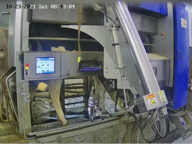 Dairy Farm Worker / Farm Equipment Operator / Field Technician - Photo 3