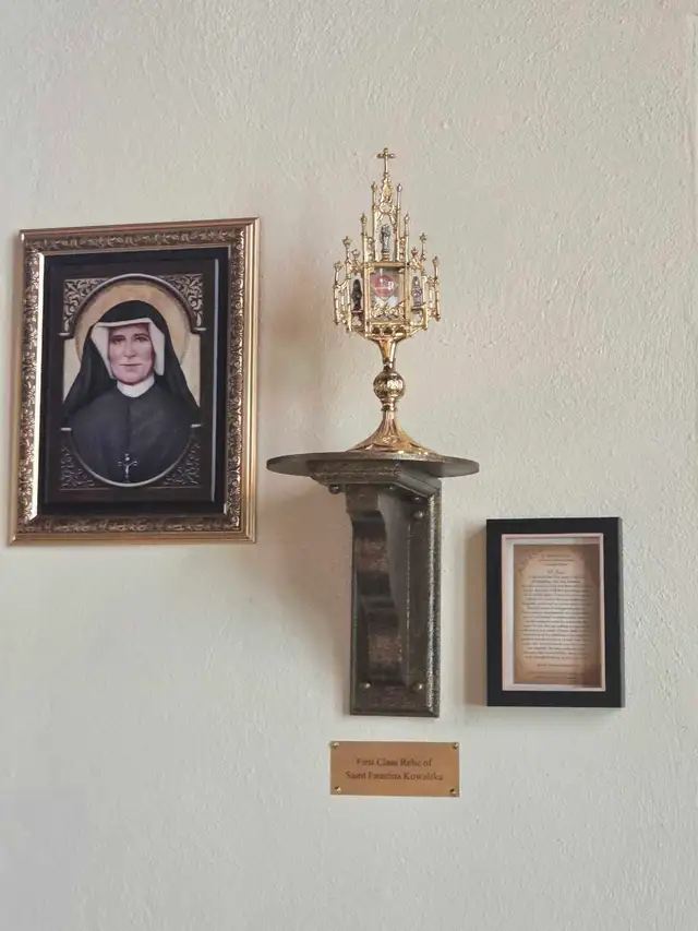 Divine Mercy Novena day 6saint Julie, Adoration - Photo 6