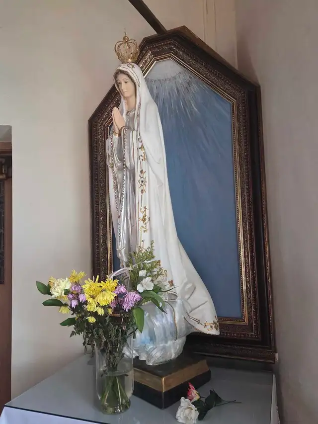 Divine Mercy Novena day 6saint Julie, Adoration - Photo 9