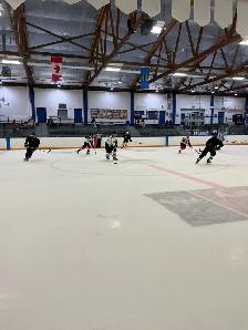 Shinny Hockey Players Calgary. Friday!