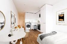 Renovated studio, Queen and Bathurst - ID 283