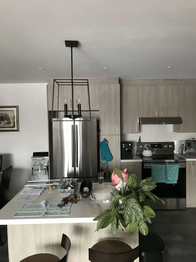 4 1/2 à Limoilou dans un immeuble style condo
