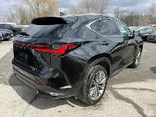 2022 LEXUS NX 350 Luxury HYBRID AWD - Photo 6