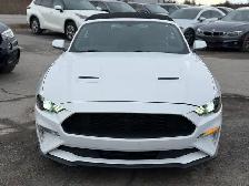2019 Ford Mustang EcoBoost Premium Convertible - Photo 3