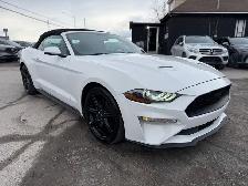 2019 Ford Mustang EcoBoost Premium Convertible - Photo 4