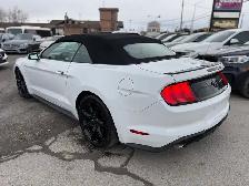 2019 Ford Mustang EcoBoost Premium Convertible - Photo 5