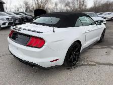 2019 Ford Mustang EcoBoost Premium Convertible - Photo 7