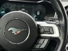 2019 Ford Mustang EcoBoost Premium Convertible - Photo 15