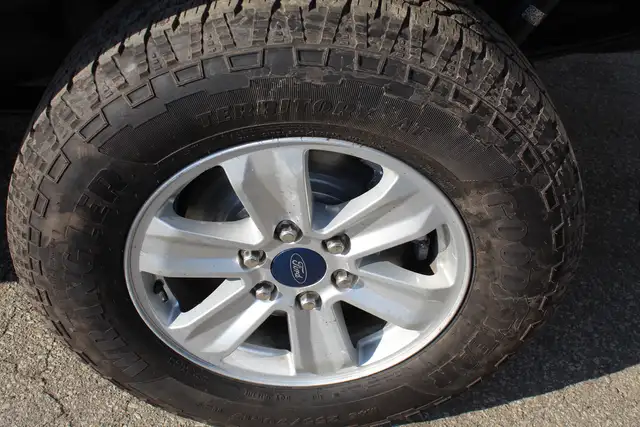 2019 Ford F-150 XLT Reg Cab 8ft Box Ladder Rack Matching Cap - Photo 7