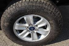 2019 Ford F-150 XLT Reg Cab 8ft Box Ladder Rack Matching Cap - Photo 7