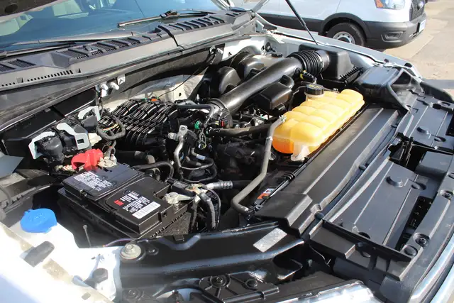 2019 Ford F-150 XLT Reg Cab 8ft Box Ladder Rack Matching Cap - Photo 24