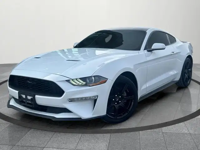 2019 Ford Mustang EcoBoost Ecoboost|Financing Available|Backu...