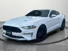 2019 Ford Mustang EcoBoost Ecoboost|Financing Available|Backu...