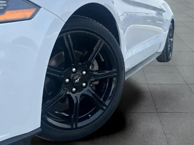 2019 Ford Mustang EcoBoost Ecoboost|Financing Available|Backu... - Photo 2