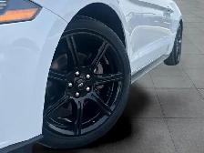 2019 Ford Mustang EcoBoost Ecoboost|Financing Available|Backu... - Photo 2