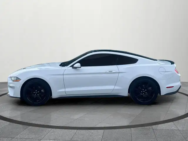 2019 Ford Mustang EcoBoost Ecoboost|Financing Available|Backu... - Photo 3