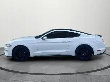 2019 Ford Mustang EcoBoost Ecoboost|Financing Available|Backu... - Photo 3