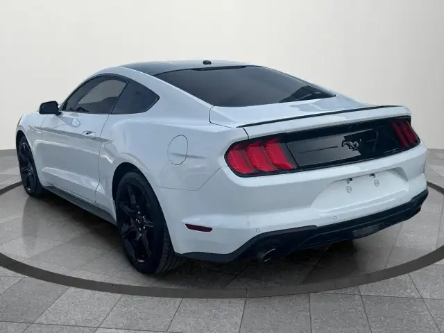 2019 Ford Mustang EcoBoost Ecoboost|Financing Available|Backu... - Photo 4