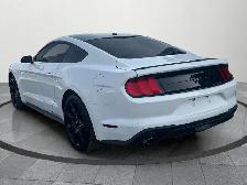 2019 Ford Mustang EcoBoost Ecoboost|Financing Available|Backu... - Photo 4