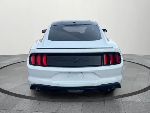2019 Ford Mustang EcoBoost Ecoboost|Financing Available|Backu... - Photo 5