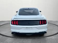 2019 Ford Mustang EcoBoost Ecoboost|Financing Available|Backu... - Photo 5