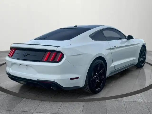2019 Ford Mustang EcoBoost Ecoboost|Financing Available|Backu... - Photo 6