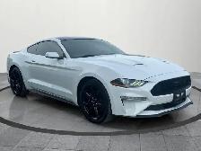 2019 Ford Mustang EcoBoost Ecoboost|Financing Available|Backu... - Photo 7