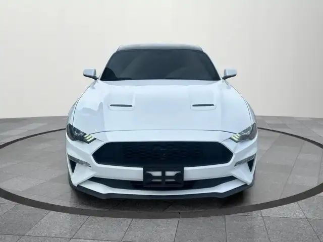 2019 Ford Mustang EcoBoost Ecoboost|Financing Available|Backu... - Photo 8