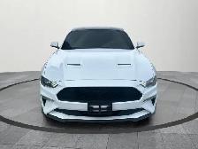 2019 Ford Mustang EcoBoost Ecoboost|Financing Available|Backu... - Photo 8