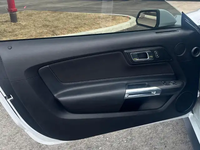 2019 Ford Mustang EcoBoost Ecoboost|Financing Available|Backu... - Photo 9