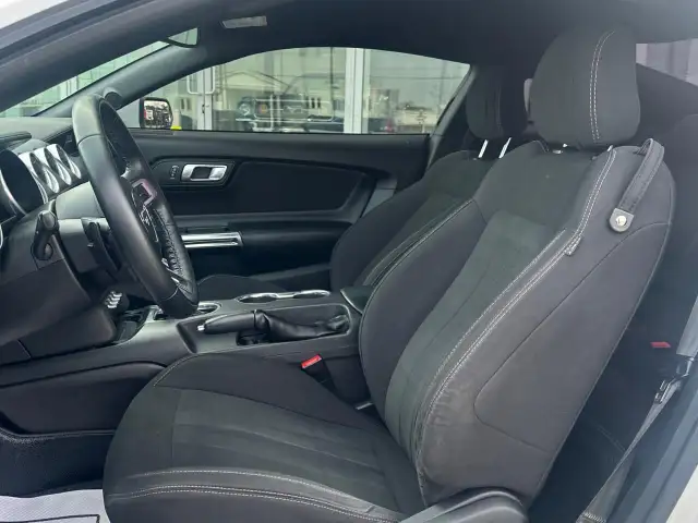 2019 Ford Mustang EcoBoost Ecoboost|Financing Available|Backu... - Photo 10