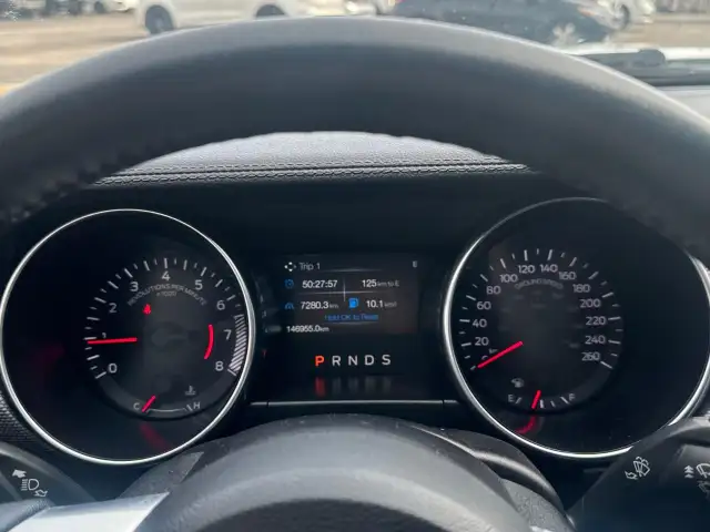 2019 Ford Mustang EcoBoost Ecoboost|Financing Available|Backu... - Photo 14