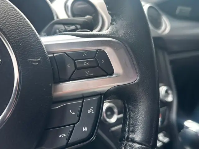 2019 Ford Mustang EcoBoost Ecoboost|Financing Available|Backu... - Photo 15
