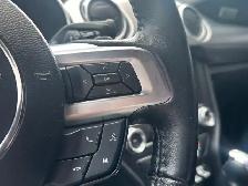 2019 Ford Mustang EcoBoost Ecoboost|Financing Available|Backu... - Photo 15