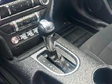 2019 Ford Mustang EcoBoost Ecoboost|Financing Available|Backu... - Photo 18