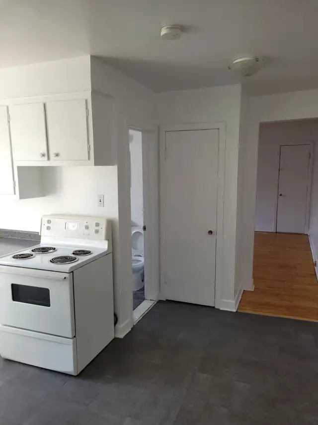 Lasalle 3 ½ disponible pour juillet - Photo 2