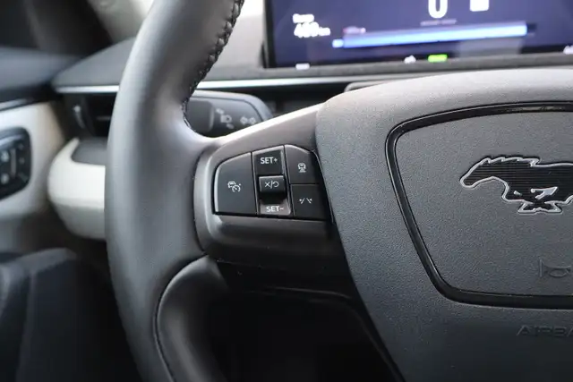 2023 Ford Mustang Mach-E - Photo 20