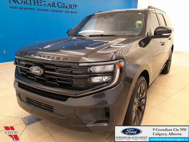 2025 Ford Expedition Platinum Max STEALTH APPEARANCE PKG. - HEAT