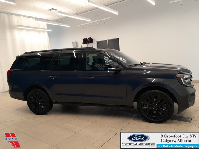 2025 Ford Expedition Platinum Max STEALTH APPEARANCE PKG. - HEAT - Photo 4