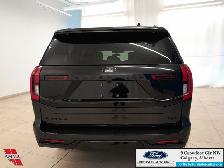 2025 Ford Expedition Platinum Max STEALTH APPEARANCE PKG. - HEAT - Photo 6