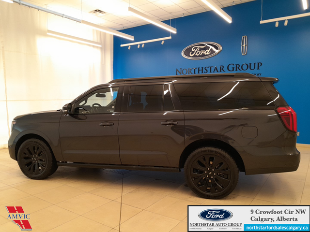 2025 Ford Expedition Platinum Max STEALTH APPEARANCE PKG. - HEAT - Photo 8