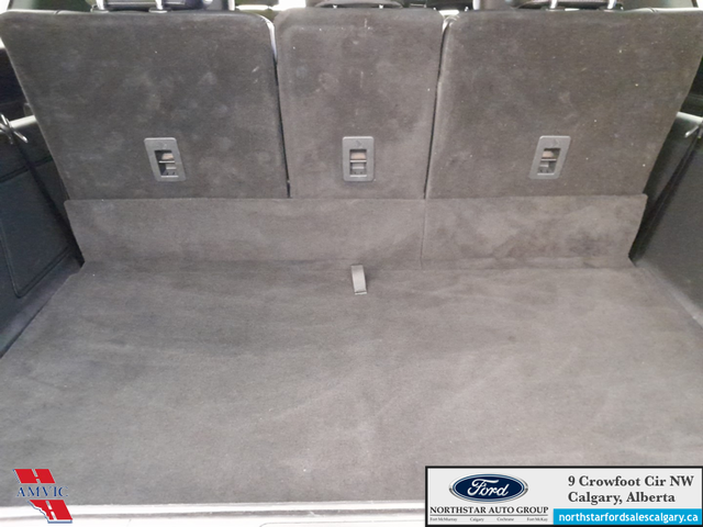 2025 Ford Expedition Platinum Max STEALTH APPEARANCE PKG. - HEAT - Photo 14