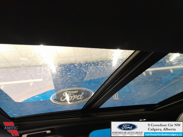 2025 Ford Expedition Platinum Max STEALTH APPEARANCE PKG. - HEAT - Photo 16