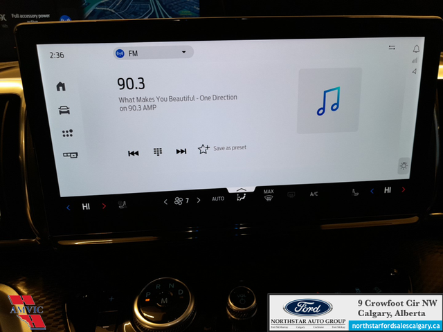 2025 Ford Expedition Platinum Max STEALTH APPEARANCE PKG. - HEAT - Photo 19