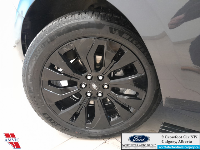 2025 Ford Expedition Platinum Max STEALTH APPEARANCE PKG. - HEAT - Photo 20