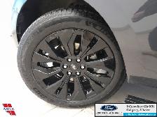 2025 Ford Expedition Platinum Max STEALTH APPEARANCE PKG. - HEAT - Photo 20