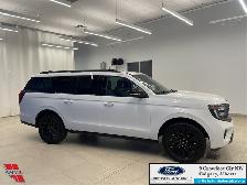 2025 Ford Expedition Platinum Max STEALTH APPEARANCE PKG. - HEAT - Photo 4