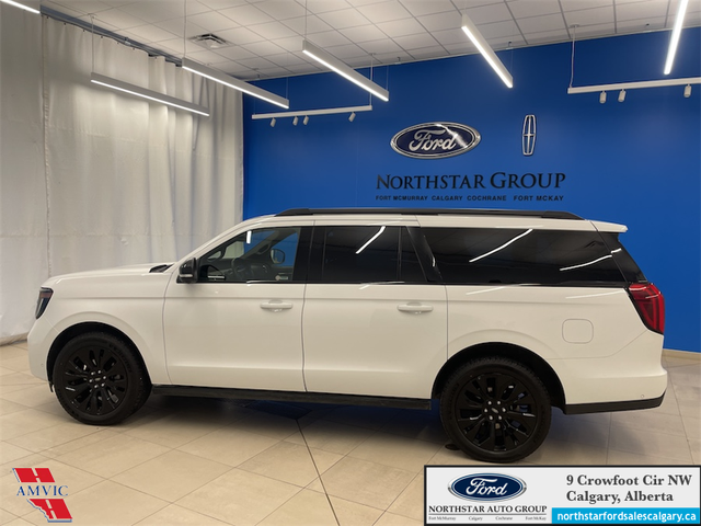 2025 Ford Expedition Platinum Max STEALTH APPEARANCE PKG. - HEAT - Photo 8